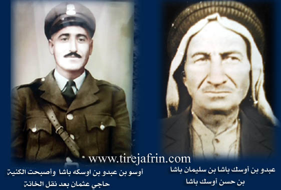 Photo of Qitmê